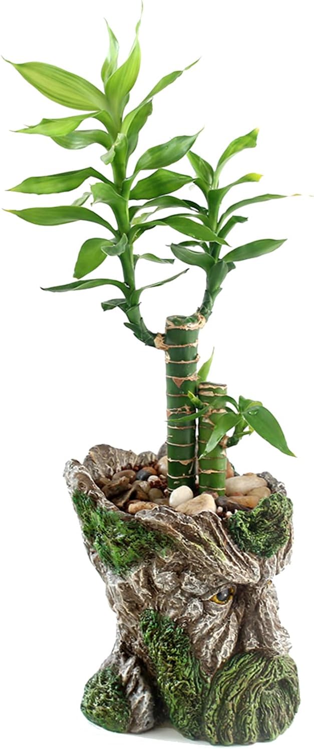 Funny Planter Head Planter with Drainage Hole Resin Plant Pot Pencil Holder Desk Storage(Mustache Man)
