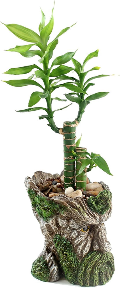 Funny Planter Head Planter with Drainage Hole Resin Plant Pot Pencil Holder Desk Storage(Mustache Man)