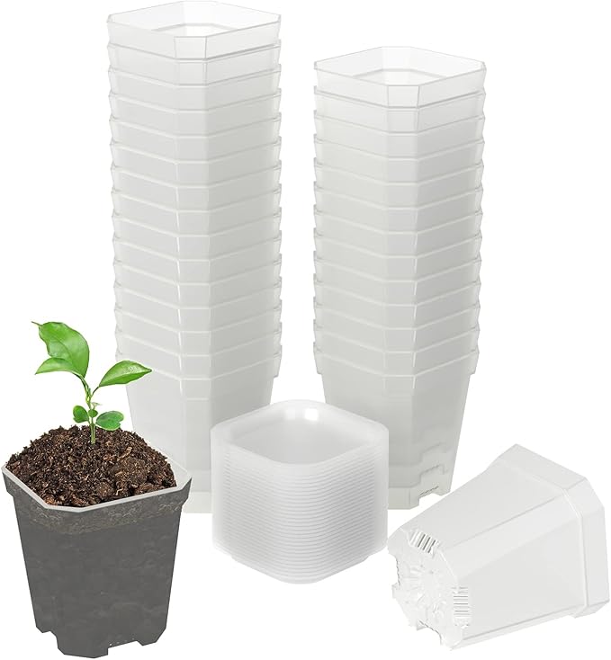 foxany 3" Clear Nursery Pots, 30 Pcs Thick Plastic Plant Pot, Square Flower Planting Pot, Seedling Planter Seed Starter Pots with Saucers