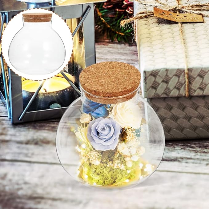 2Pcs Airtight Glass Terrarium Bottles 5.11 Inch Round Sealed Planters with Cork Lid for Succulent Plants Micro Landscape Home Decor