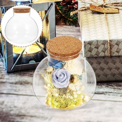 2Pcs Airtight Glass Terrarium Bottles 5.11 Inch Round Sealed Planters with Cork Lid for Succulent Plants Micro Landscape Home Decor