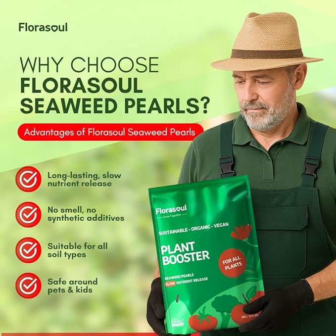 Florasoul® Plant Booster All Purpose Slow Release Fertilizer (6.6 lbs) – Plant-Based & Vegan Formula – 4-Month Sustained Nutrient Feed – for Vegetables, Flowers & Lawns – Pet-Friendly