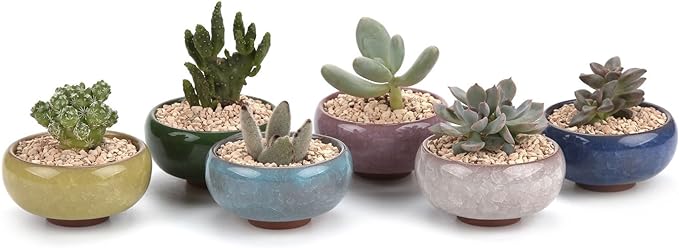 T4U 2.5 Inch Small Ceramic Succulent Planter Pot with Drainage Hole Set of 6, Ice Crack Glaze Plant Container for Cactus, Gardening Plant Gifts for Women Mom Aunt Home Office Decor