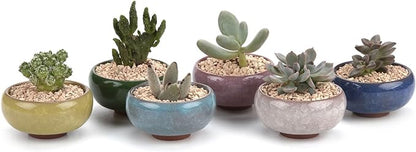 T4U 2.5 Inch Small Ceramic Succulent Planter Pot with Drainage Hole Set of 6, Ice Crack Glaze Plant Container for Cactus, Gardening Plant Gifts for Women Mom Aunt Home Office Decor