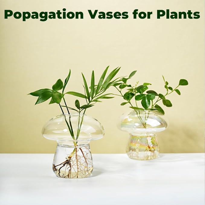 Wall Hanging Mushroom Vase, Small Plant Propagation Stations Cute Mushroom Glass Planter Terrarium Indoor Hydroponic Flower Holder for Elegant Home Decor Gifts, Clear, 1 PC