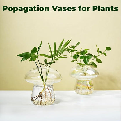 Wall Hanging Mushroom Vase, Small Plant Propagation Stations Cute Mushroom Glass Planter Terrarium Indoor Hydroponic Flower Holder for Elegant Home Decor Gifts, Clear, 2 PCS
