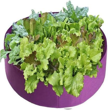 Ulalaza 5PCS Potato Grow Bags with Flap Plant Grow Bags Fabric Multi Ribbon Potato Bag Tomato Vegetable Growth Non-Woven Felt Planting Bag Transparent