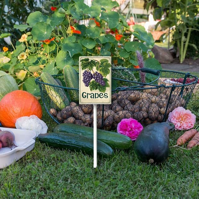 Uptell Vintage Aluminum Grapes Fruit Signs Yard Sign with Stake for Garden Fruit Garden Label Stakes Plant Markers for Outdoor Plants Waterproof 7x8.8 inch
