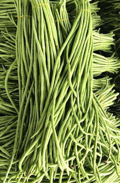 30PCS Green/Red Yard Long Bean Seeds Asian Noodle Asparagus Bean Seeds Non-GMO Heirloom