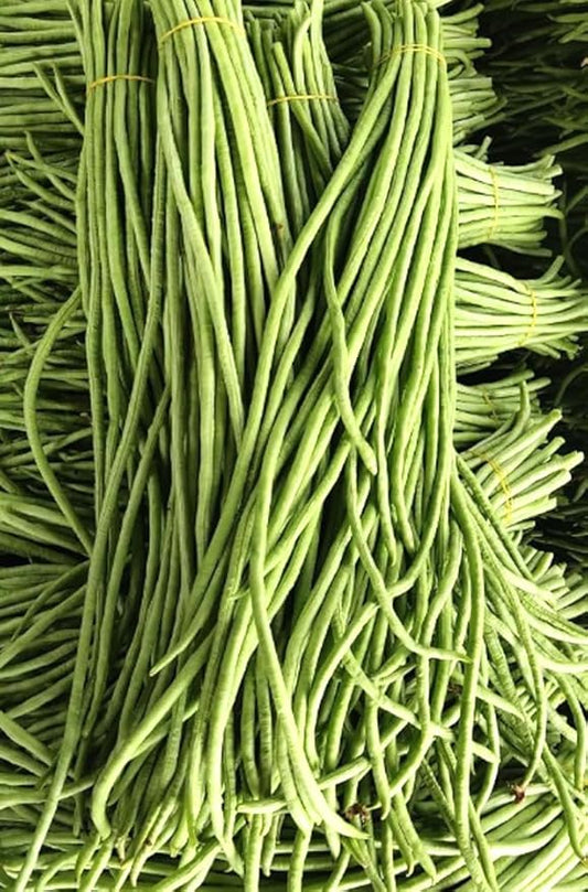 30PCS Green/Red Yard Long Bean Seeds Asian Noodle Asparagus Bean Seeds Non-GMO Heirloom