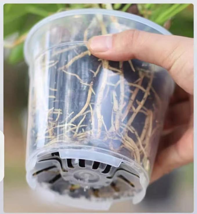 12 Pack 6.7/5/4.5 Inch Clear Plastic Pots for Plants，Thickened and Durable Nursery Pots for Plant，Plastic Plant Pot Seedling Planter Seed Starter Flower