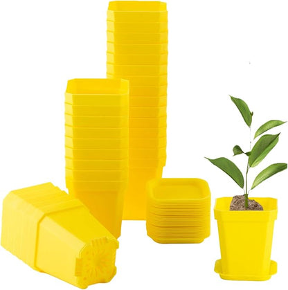 foxany 3" Plants Nursery Pot, 30 Pcs Thick Plastic Square Yellow Planting Pots, Plant Seedling Pots, Seed Starting Pots with Saucers - Yellow
