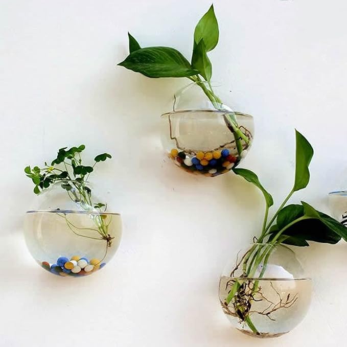 Yarlung 6 Pack Wall Hanging Planters Terrarium, 4.7 Inch Glass Oblate Globe Plants Containers, Wall Mount Clear Flower Vase for Propagating Hydroponics Plants, Air Plants (Plants Not Included)