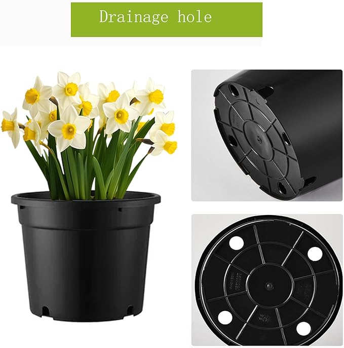 3 Gallon Pots for Plants, 3 Gallon Nursery Pot for Plants with Drainage Holes, 10 Pack 10 Inch Round Sturdy Plastic Plant Pot Planters for Outdoor Indoor Plants, Flowers, Black
