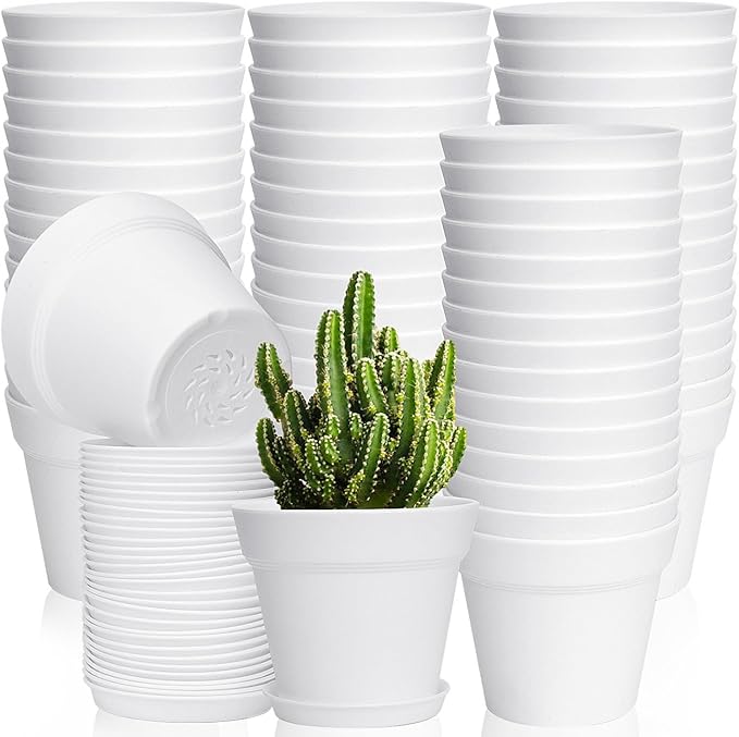 June Fox 60 Pack Small Plant Pots Indoor 4 Inch Plastic Planter with Drainage Holes and Saucers Premium Decorative White Plant Pot for Succulent, African Violets, Flowers, Plants