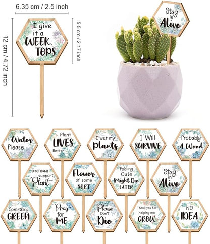15 Pcs Hexagonal Funny Plant Markers, Water Please Pray for Me Plant Labels Wood Greenery Garden Tags for Vegetable Flower Herb Succulent Seedling Potted, 2.5x4.7 Inch