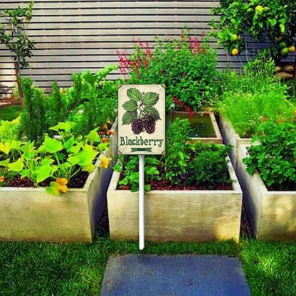Uptell Vintage Aluminum BlackBerry Fruit Signs Yard Sign with Stake for Garden Fruit Garden Label Stakes Plant Markers for Outdoor Plants Waterproof 8x12 inch