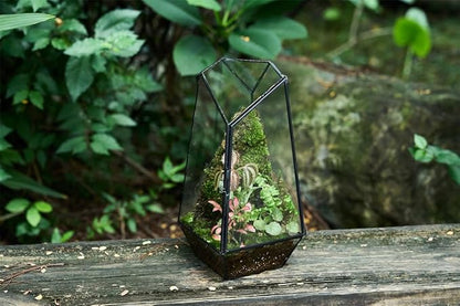 FISCRAT Tabletop Glass Terrarium -5"x5"x10.8" Black Metal Frame Indoor Plant Display Container with Openable Door, Low Maintenance Succulent Ecosystem, Space Saving Art Decor (Plants Not Included)