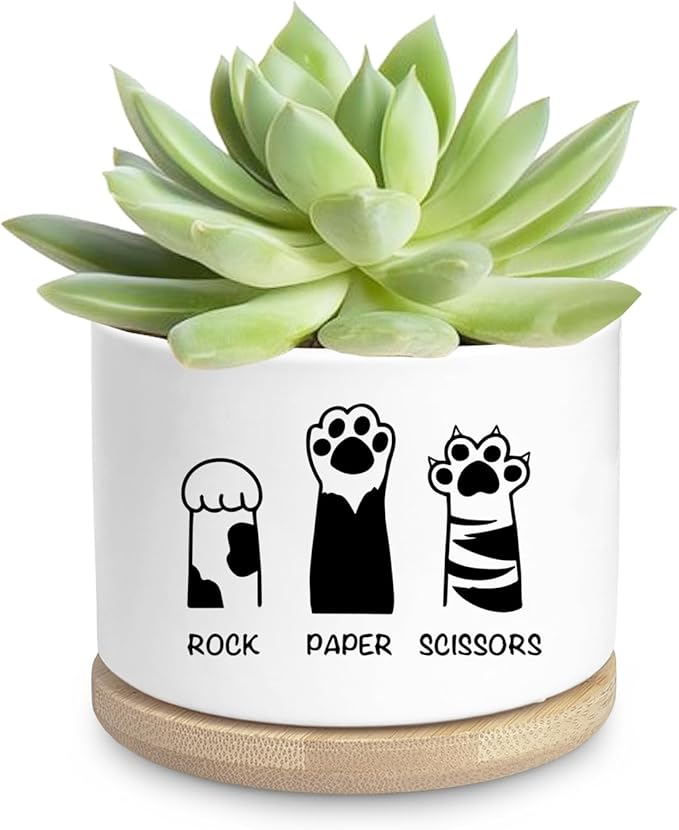 Funny Cat Ceramic Planter Pot, Cute Succulents Pots for Indoor Cat Lover Women Friends Coworker Sister Bestie Birthday, Office Desk Windowsill Decor (Plants Not Included)