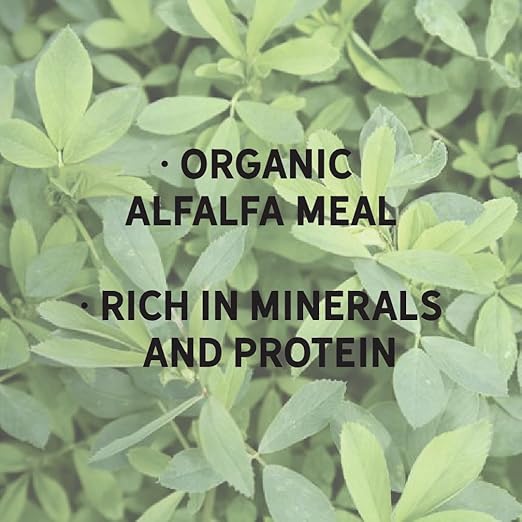 New Country Organics Alfalfa Meal Plant Fertilizer & Feed Supplement - Certified Organic & Non-GMO - Feed Grade - Suitable As Organic Feed Supplement & Organic Fertilizer - 50 Lbs