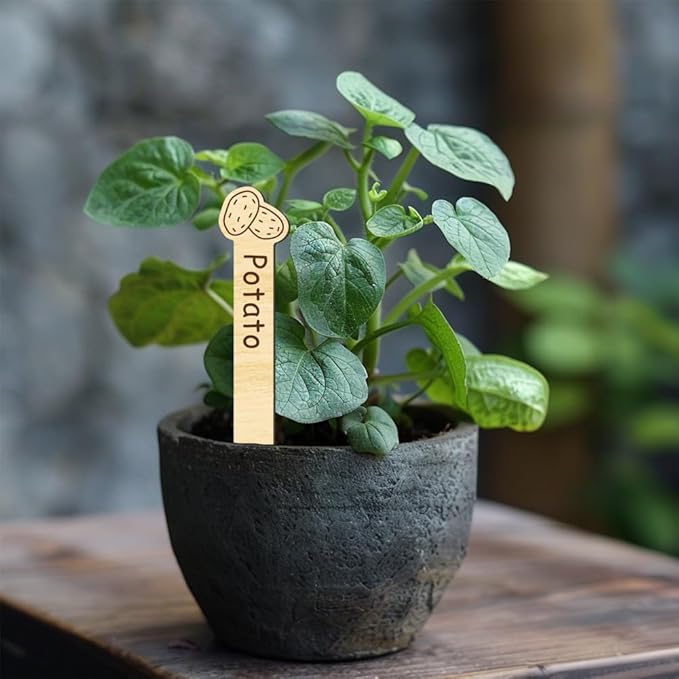 arricraft 15 Pcs Vegetable Theme Wooden Plant Tags, Vertical Strips Shape Waterproof Garden Stake Plant Marker for Indoor Outdoor Potted Nursery Marker Decoration Accessories 6x1 inch