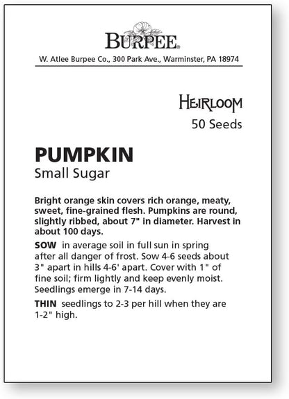 Burpee Small Sugar Pumpkin Seeds 50 seeds