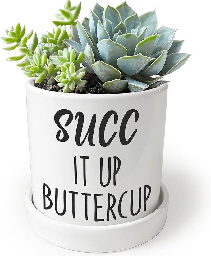 Funny Succulent Planter - SUCC it Up Buttercup, Cute Ceramic Office Plant Pot with Drainage Hole & Ceramic Tray - 4.3'' Deeper Design