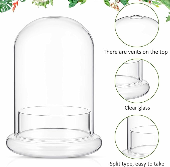 2 Pcs 4.7 x 6.3 Inch Glass Terrarium Clear Terrarium Planter Container Glass Dome Cloche with Airhole and Base for Plant Flower Home Tabletop Display Centerpiece, Plants Not Included