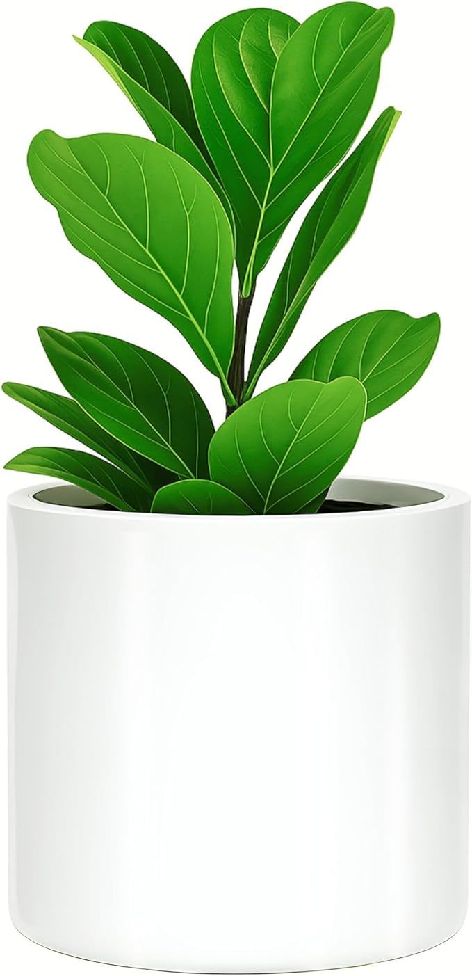 Fox & Fern 10 Inch Plant Pot with Drainage Plug — Premium Lightweight Fiberstone Glossy White Planter - Indoor & Outdoor Planter - 10 Inch Pots for Plants - Weather Resistant & UV Resistant