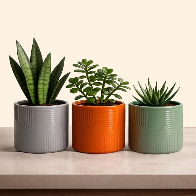 6 Inch Ceramic Plant Pot – Indoor & Outdoor Flower Planter for Succulents, Herbs & Small Plants – Thick-Walled Modern Design – Sage Green