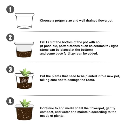 Root Powder, Rooting Powder for Cuttings Root Hormone Root Stimulator Fertilizer and Soil Improver Grow New Plants from Cuttings for Indoor Plants Shrubs Lawn Fruit Vegetables 50g & 100g(100g)