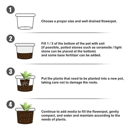 Root Powder, Rooting Powder for Cuttings Root Hormone Root Stimulator Fertilizer and Soil Improver Grow New Plants from Cuttings for Indoor Plants Shrubs Lawn Fruit Vegetables 50g & 100g(100g)