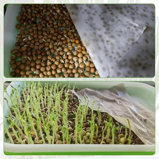 Seed Sprouter Tray 2PCS Soil-Free Wheatgrass Grower Sprouting Container with Lid 20CPS Germinating Growing Paper