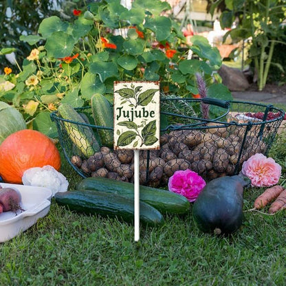 Uptell Vintage Aluminum Jujube Fruit Signs Yard Sign with Stake for Garden Fruit Garden Label Stakes Plant Markers for Outdoor Plants Waterproof 7x8.8 inch