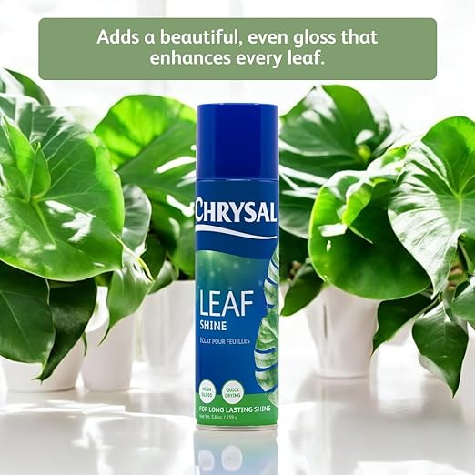 Chrysal Leaf Shine Spray for Indoor Plants – Flower Arrangement Spray for Flower Bouquets, House Plants, & More – Environmentally Safe Plant Cleaner Removes Dust – Flower & Gardening Supplies (2 Pack)