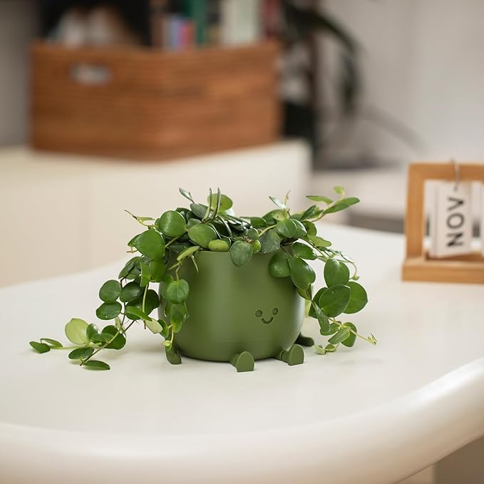 TOPOLA Happy Face Planter, 5.2 Inches Plastic Plant Pot, Self Watering Plant Pot with Drainage Holes for Indoor Outdoor, Succulent Pot, Funny Flower Pot, Dark Green
