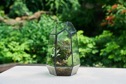 FISCRAT Metal Geometric Glass Planter | 7.9 * 6.9 * 9.8inch Rust-Proof Indoor/Outdoor Planter for Succulents, Air Plants | Space-Saving Vertical Design,a for Apartment Living and Plant Lovers