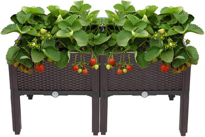 VINGLI Square Raised Garden Bed, Self-Watering Plastic Planter for Indoor Outdoor Vegetables, Fruits, Potato, Flowers, All Weather (2 Pcs)