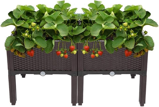 VINGLI Square Raised Garden Bed, Self-Watering Plastic Planter for Indoor Outdoor Vegetables, Fruits, Potato, Flowers, All Weather (2 Pcs)