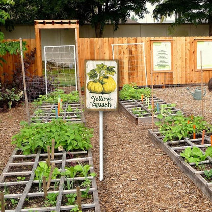 Uptell Vintage Vegetable Signs for Garden with Stake Yellow-Squash Yard Sign Vegetable Garden Label Stakes Plant Markers for Outdoor Plants Waterproof 8x12inch