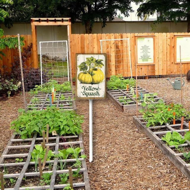 Uptell Vintage Vegetable Signs for Garden with Stake Yellow-Squash Yard Sign Vegetable Garden Label Stakes Plant Markers for Outdoor Plants Waterproof 8.8x7inch