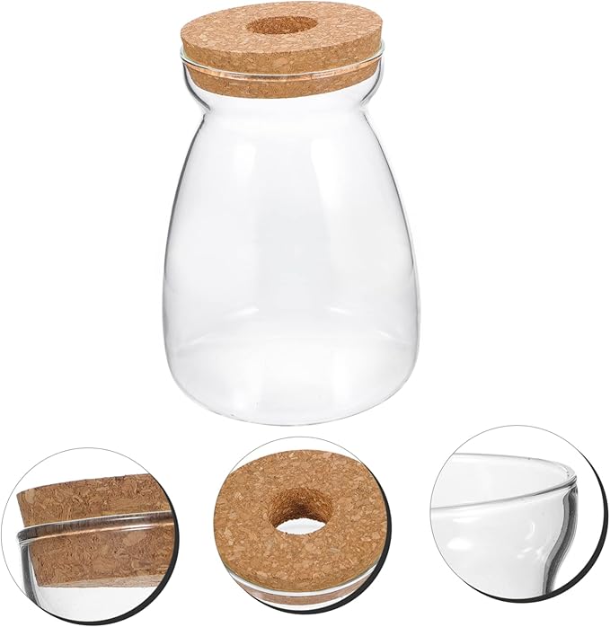 Large Glass Terrarium Jar for Hydroponic Plants - Indoor Miniature Garden Container with Open Hole Lid for Succulents and Decorative Ornaments