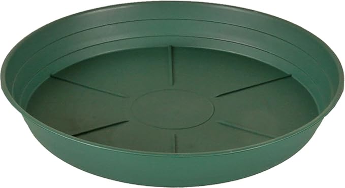 Hydrofarm HGS10P Green Premium Saucer 10-Inch, 25 Count(Pack of 1), 10 inches