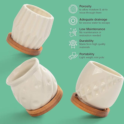 B SEPOR Set of 6 White Simple Porcelain Planters for Small Plant Pots Baby Succulent Cactus with Drainage and Saucer for Home Office Decoration Gift(White Stripes)