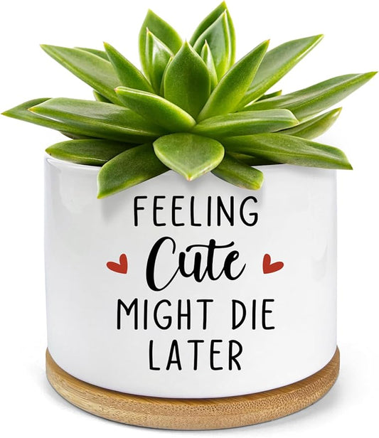 Feeling Cute Might Die Later Pot- Ceramic Engraved Succulent Aloe Cactus Planter Pot, Funny Indoor Plant Pots with Bamboo Tray for Mom Grandma Teacher Gifts(Plant Not Included)