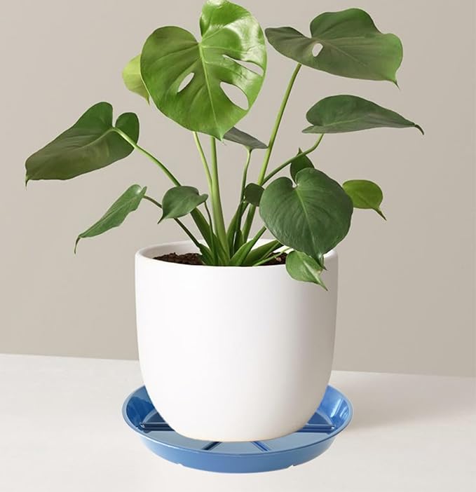 Plant Saucer Pot Tray 12 inch, 2 Packs Flower Planter Saucers and Drip Trays for Pots Planter, Heavy Duty Plant Dish Pant Plate to Catch Water for Indoor & Outdoor, Blue