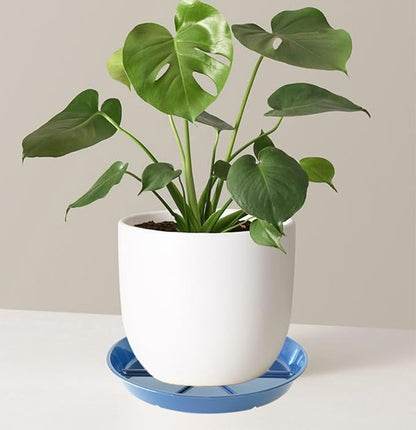 Plant Saucer Pot Tray 12 inch, 2 Packs Flower Planter Saucers and Drip Trays for Pots Planter, Heavy Duty Plant Dish Pant Plate to Catch Water for Indoor & Outdoor, Blue