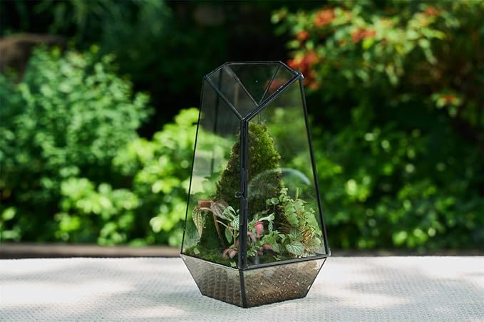 FISCRAT Tabletop Glass Terrarium -5"x5"x10.8" Black Metal Frame Indoor Plant Display Container with Openable Door, Low Maintenance Succulent Ecosystem, Space Saving Art Decor (Plants Not Included)