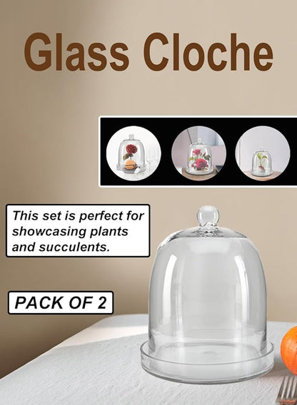 Serene Spaces Living Glass Cloche, Ideal as a Terrarium, Great to Hold Airplants, Flower Blooms, Accessories, Photos, Candles, Dessert Display, Home, Office Decor, 11" Diameter & 13" Tall, Set of 2