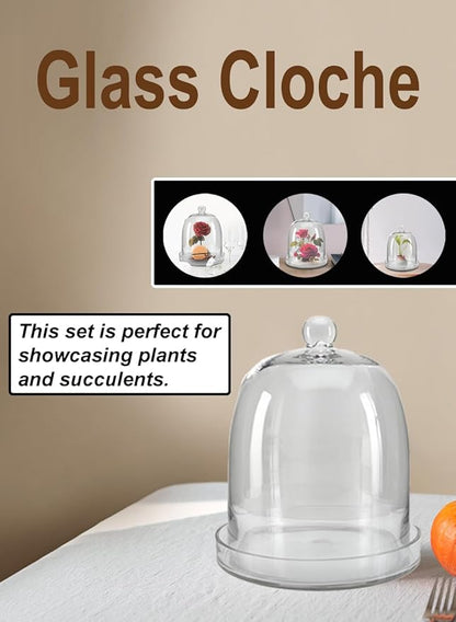 Serene Spaces Living Glass Cloche, Ideal as a Terrarium, Great to Hold Airplants, Flower Blooms, Accessories, Photos, Candles, Dessert Display, Home, Office Decor, Gift Idea, 11" Diameter & 13" Tall